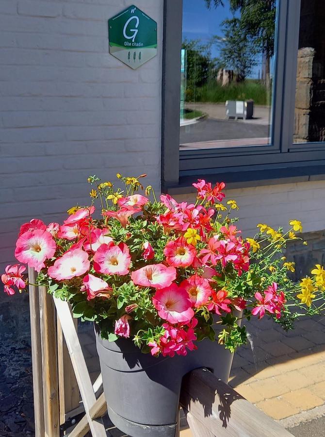 Gite Citadin 3 Epis "Carpe Diem" Vila Bastogne Exterior foto